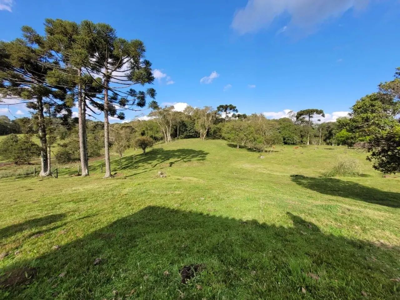 CAXIAS DO SUL - Terreno Padrão - ANA RECH - Foto 3