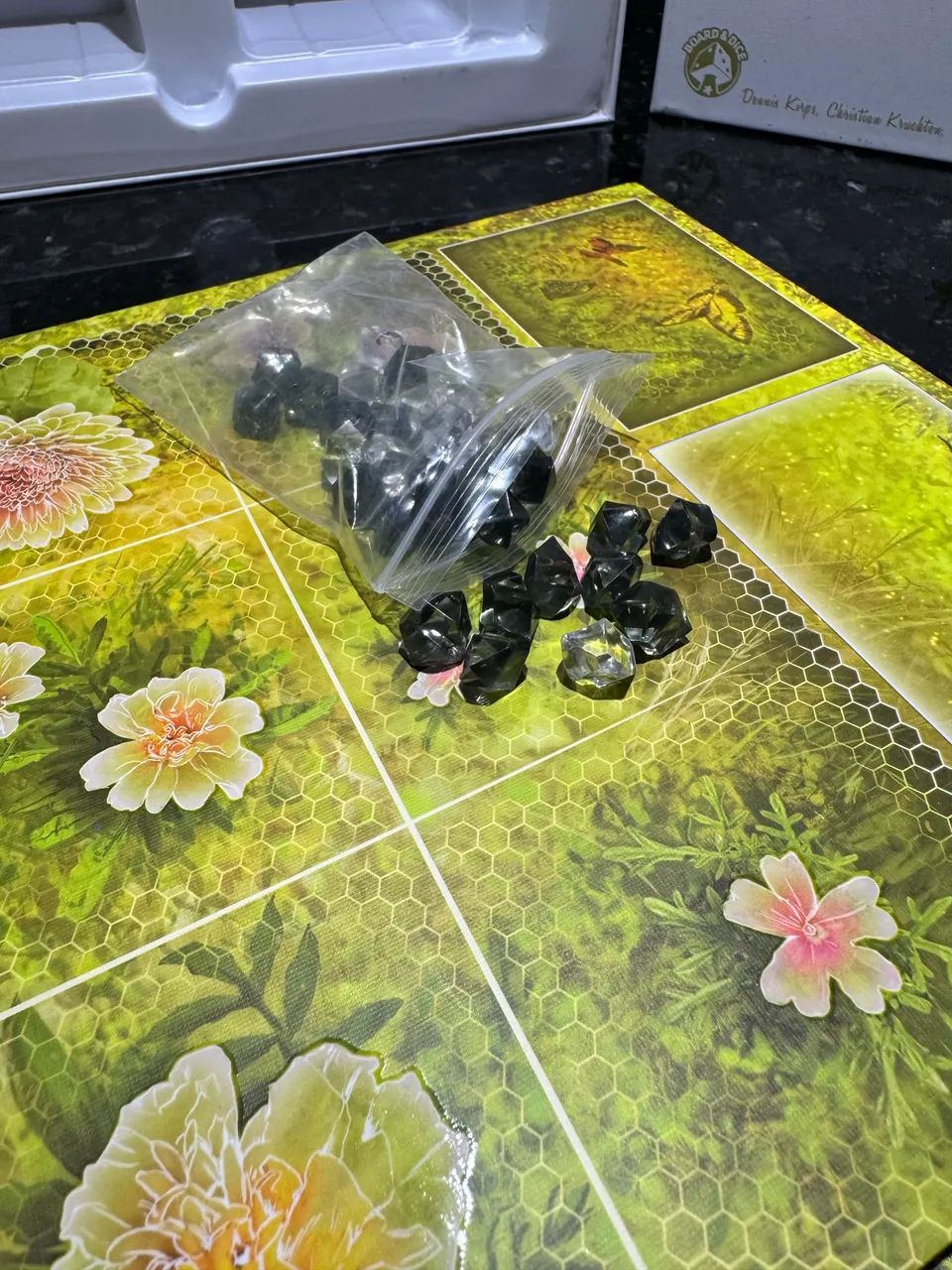 Dust in the Wings - Foto 3