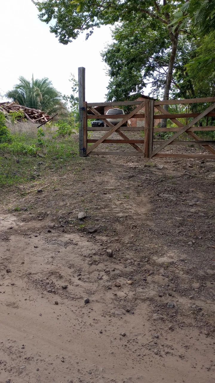 Fazenda 400 Ha Asfalto Energia Água Internet Região Desenvolvida - Foto 5