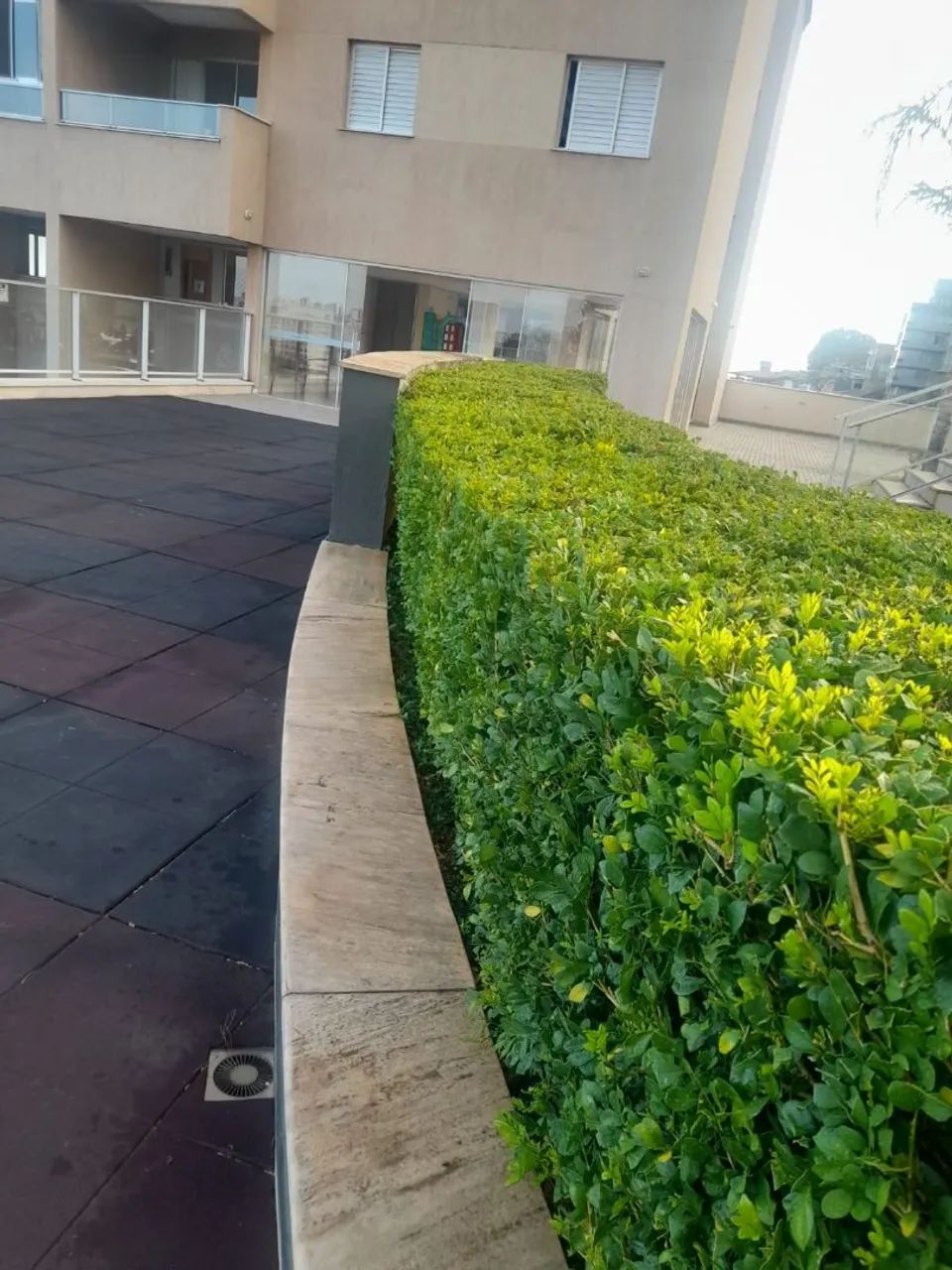 SERVIÇO JARDINAGEM ROÇADEIRA / BH  - Foto 5
