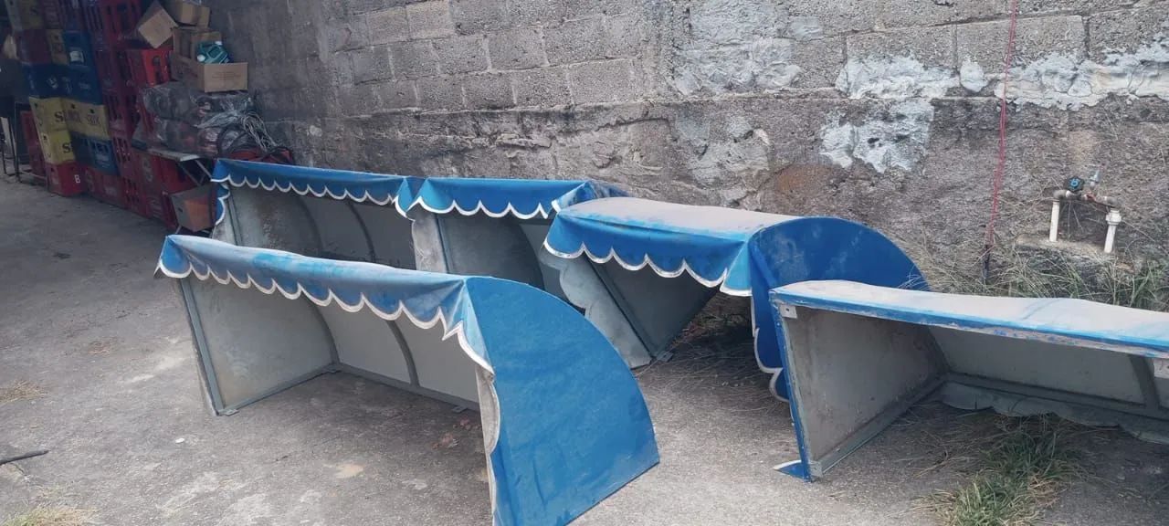 Toldo