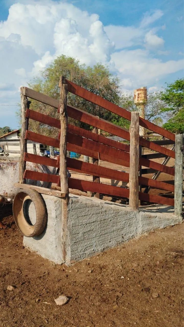 Fazenda em catalão pecuária  - Foto 3