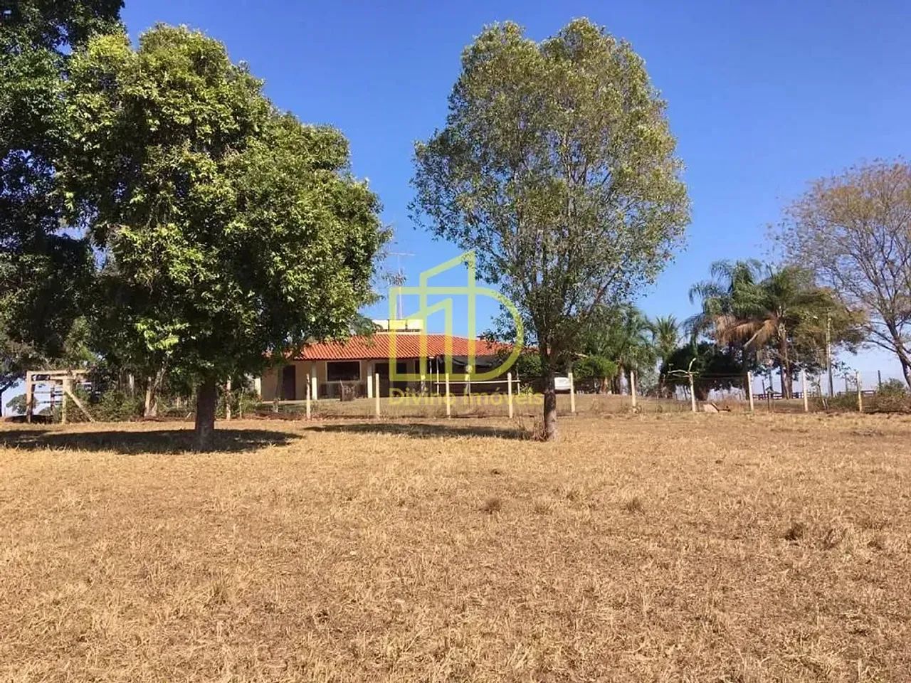 Fazenda à Venda em Limeira do Oeste - MG - Foto 4