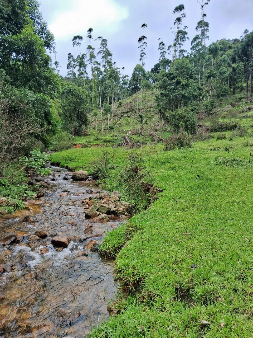 Terreno 5 hectares com riacho em Anitápolis-SC  - Foto 2