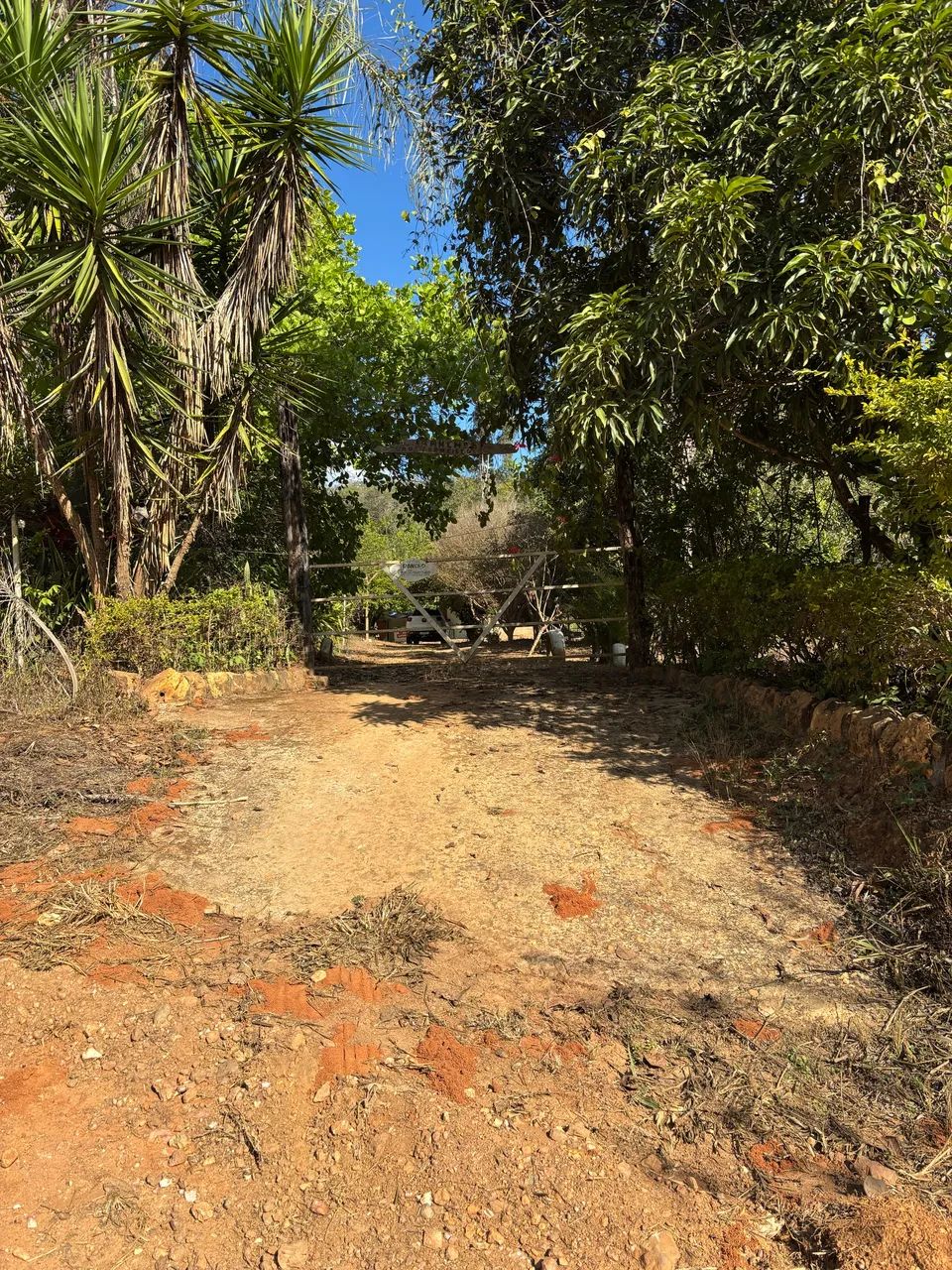 Sítio 3000 m2 com corgo muita água  - Foto 3