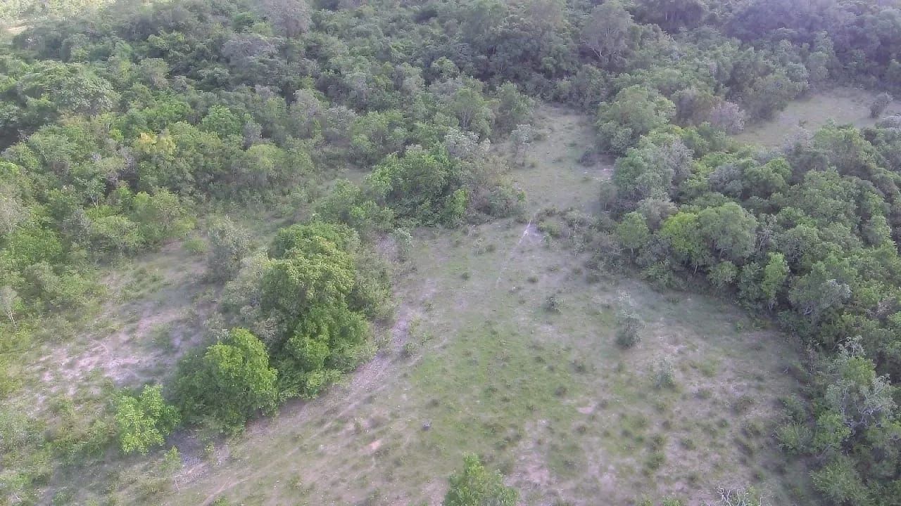 FAZENDA A VENDA SUDESTE DO TOCANTINS  - Foto 3