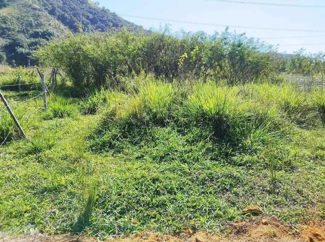 Foto - Paracambi - 