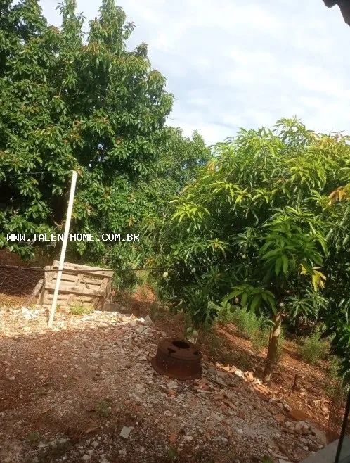 Chácara para Venda em Jataizinho - Foto 3