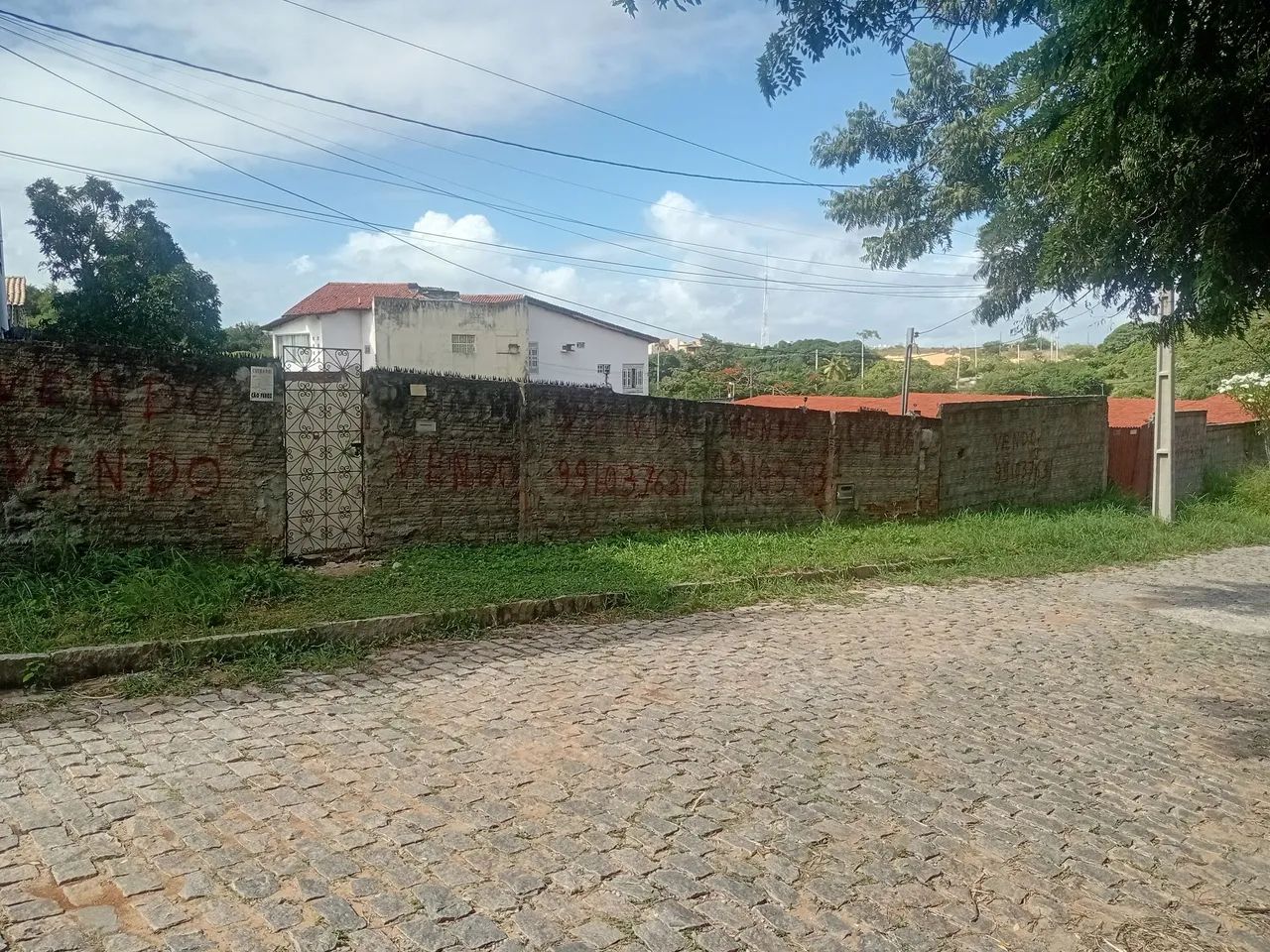 Candelária próximo a prudente  - Foto 5