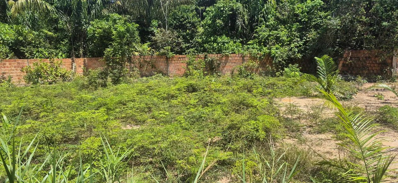 Terreno em Paricatuba  - Foto 3