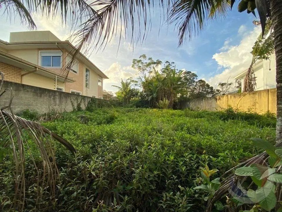 Terreno para Venda em Florianópolis, Santa Mônica - Foto 5