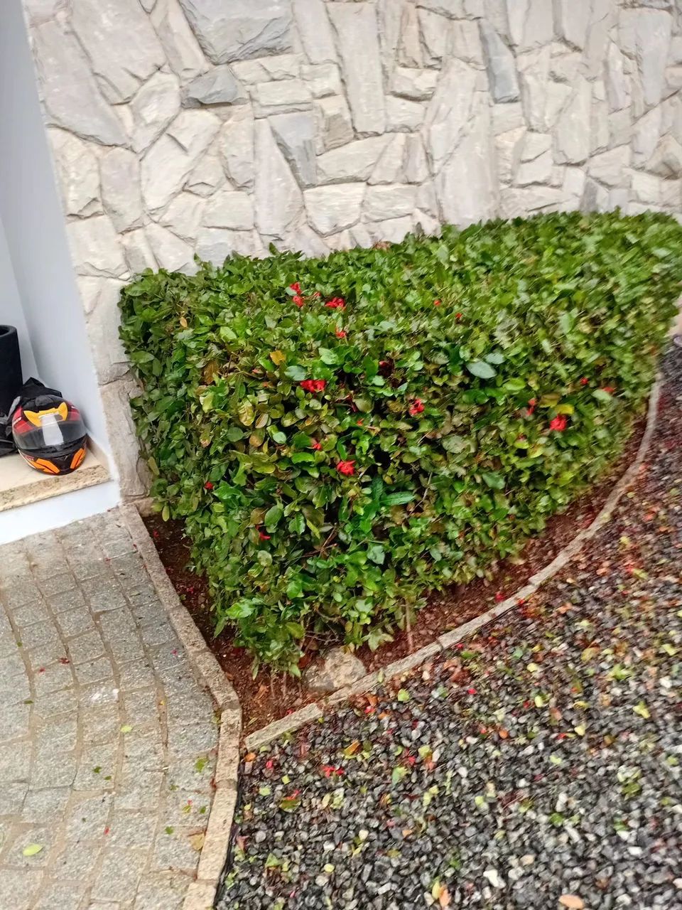 Jardinagem em geral - Foto 2