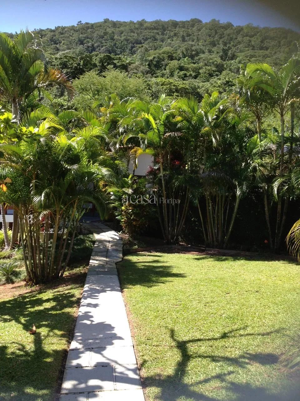 Terreno de 15.581m² na SC 401 - Foto 2