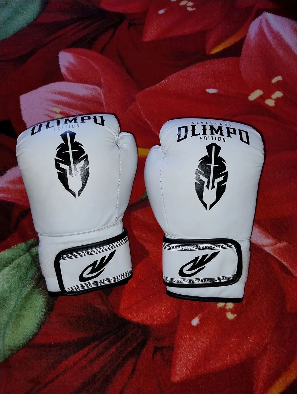 Luva de muay Thai e boxing 