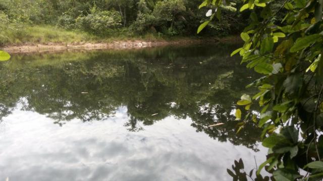 Chácara Estrada Velha da Guia Beira Rio Cuiaba - Foto 9