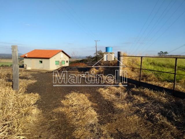 Sítio para alugar em Cravinhos, Cravinhos cod:L29437 - Foto 13