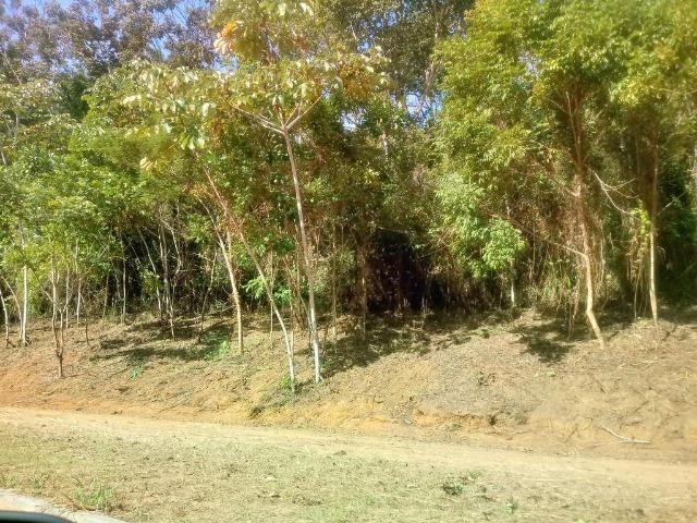 Residencial Naturaville - Lote L8 - Foto 18