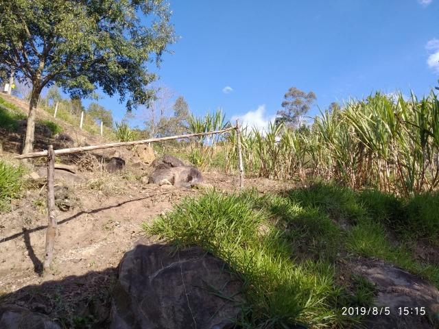 Chácara 4.000m² em Mairiporã, próximo a rodovia!!! - Foto 15