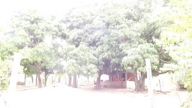 Chacara rio paranã - Foto 4
