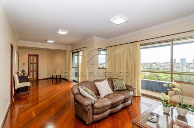 Apartamento para alugar com 4 dormitórios em Caicaras, Londrina cod:L4346 - Foto 3