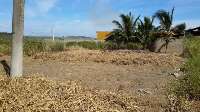 Lote com visão de 180° do Mar e Lagoa do Siri - Foto 4