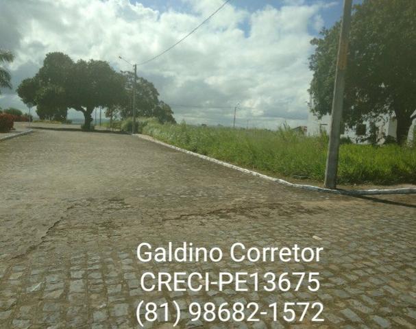 Terrenos em condomínio em limoeiro - Foto 18