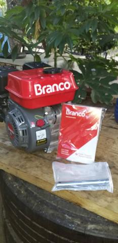 Vendo motor 5,5