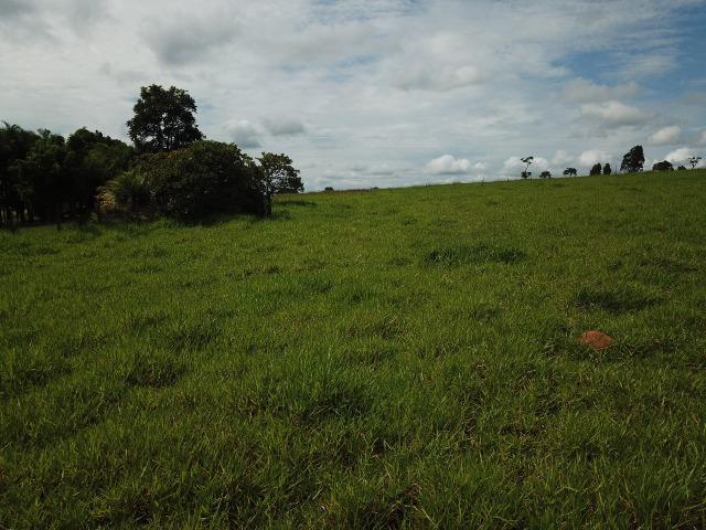 Fazenda em Bela Vista de Goiás de 15 Alqueires, à 45 km de Goiânia Dentro da Cidade - Foto 2