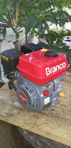 Vendo motor 5,5 - Foto 2