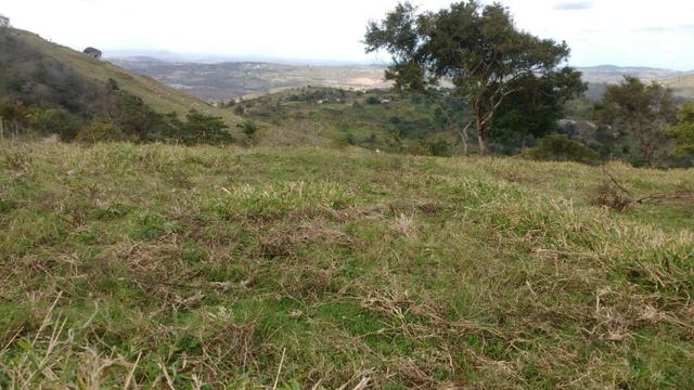 Fazenda Com 49.7 Hectares a 8 km do Centro da Cidade-Gravatá-PE - Foto 8