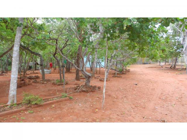 Chácara à venda em Zona rural, Chapada dos guimaraes cod:20937 - Foto 16