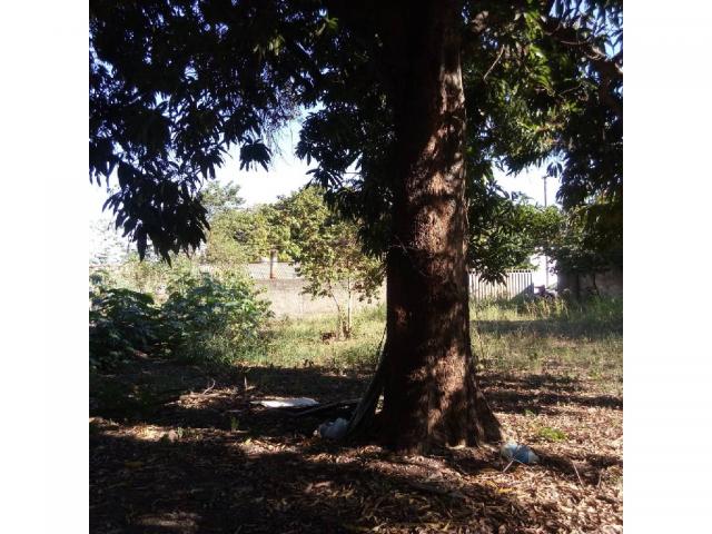 Loteamento/condomínio à venda em Lixeira, Cuiaba cod:21575 - Foto 5