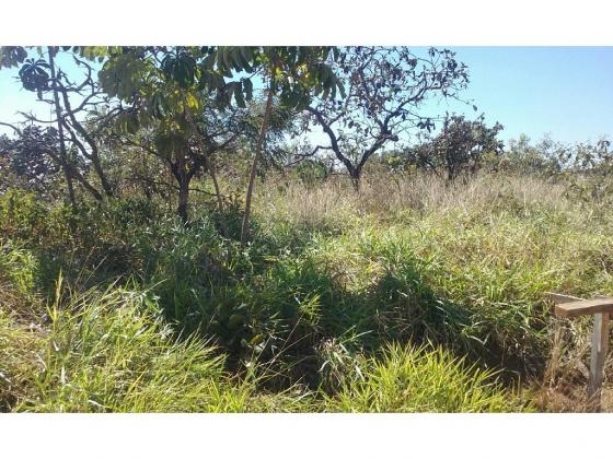 Chácara à venda em Zona rural, Cuiaba cod:20437 - Foto 4