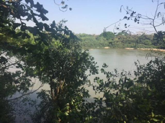 Chácara à venda em Bom sucesso, Varzea grande cod:20593 - Foto 16
