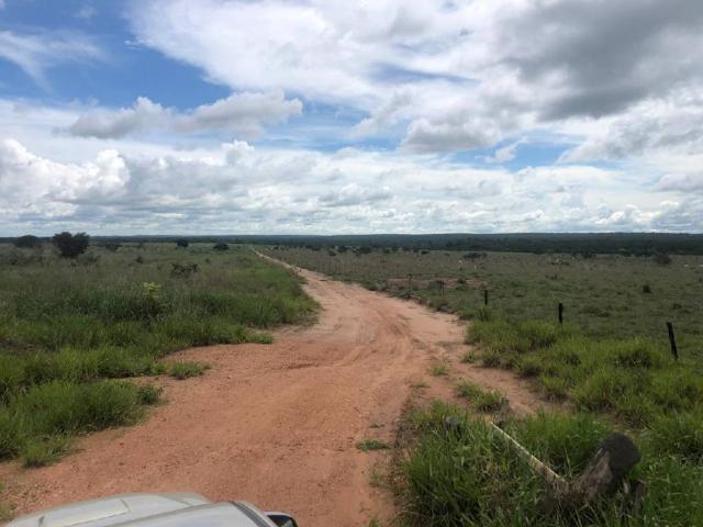 Chácara à venda em Rural, Nova mutum cod:22068 - Foto 3