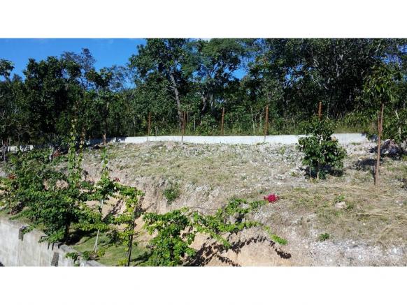 Casa de condomínio à venda com 5 dormitórios em Terra selvagem, Cuiaba cod:18101 - Foto 18