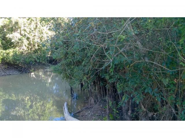 Chácara à venda em Zona rural, Santo antonio do leverger cod:21685 - Foto 4