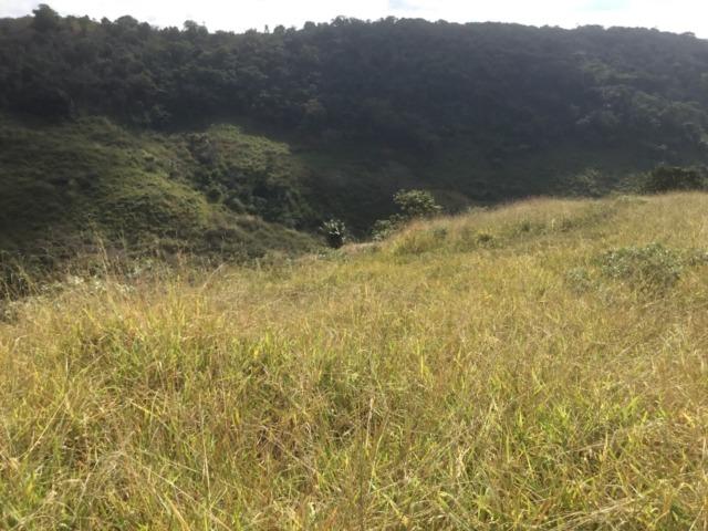 Fazenda 455.96 hectares - Governador Valadares/MG - Foto 12