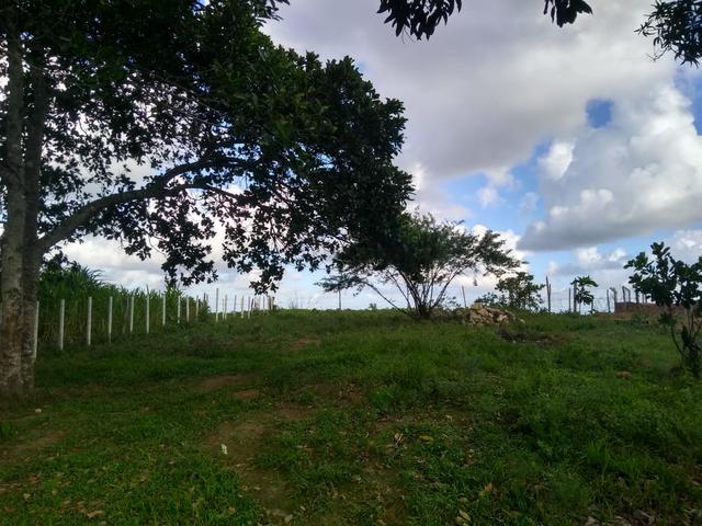 Terreno Em Pedra Branca - Foto 3