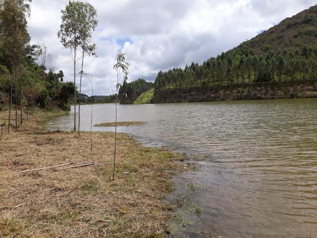 Fazenda 159,72 hectares - Leopoldina/MG; - Foto 4