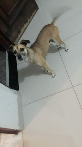 Doação