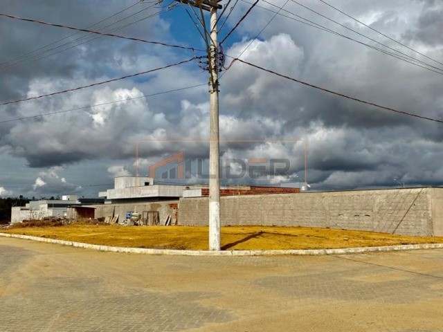 Lote no Alto Marista - Foto 5