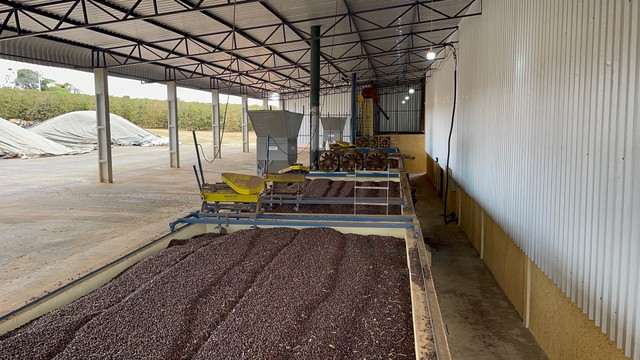 Secador de caixa Estático (financiamos pelo Finame)