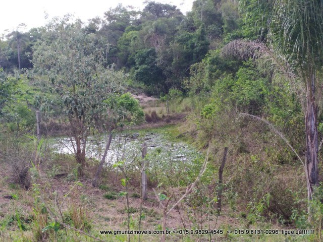Sítio 3,5 alqueires a venda entre Quadra - SP e Guareí-SP !!!! - Foto 3