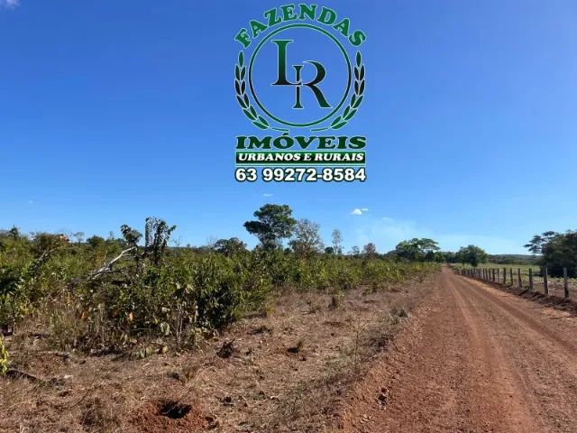 Fazenda 46 Alqueires Próximo Palmas - Foto 2