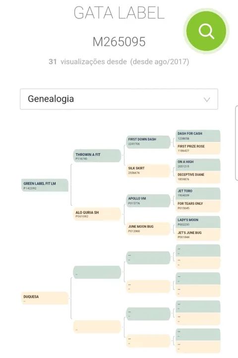 ÉGUA QUARTO DE MILHA PURA COM DOCUMENTO MEIO SANGUE - Foto 5