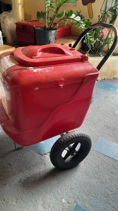 Carrinho