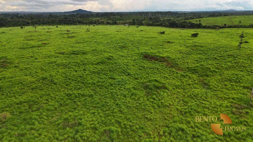 Fazenda com infraestrutura para duplo propósito.