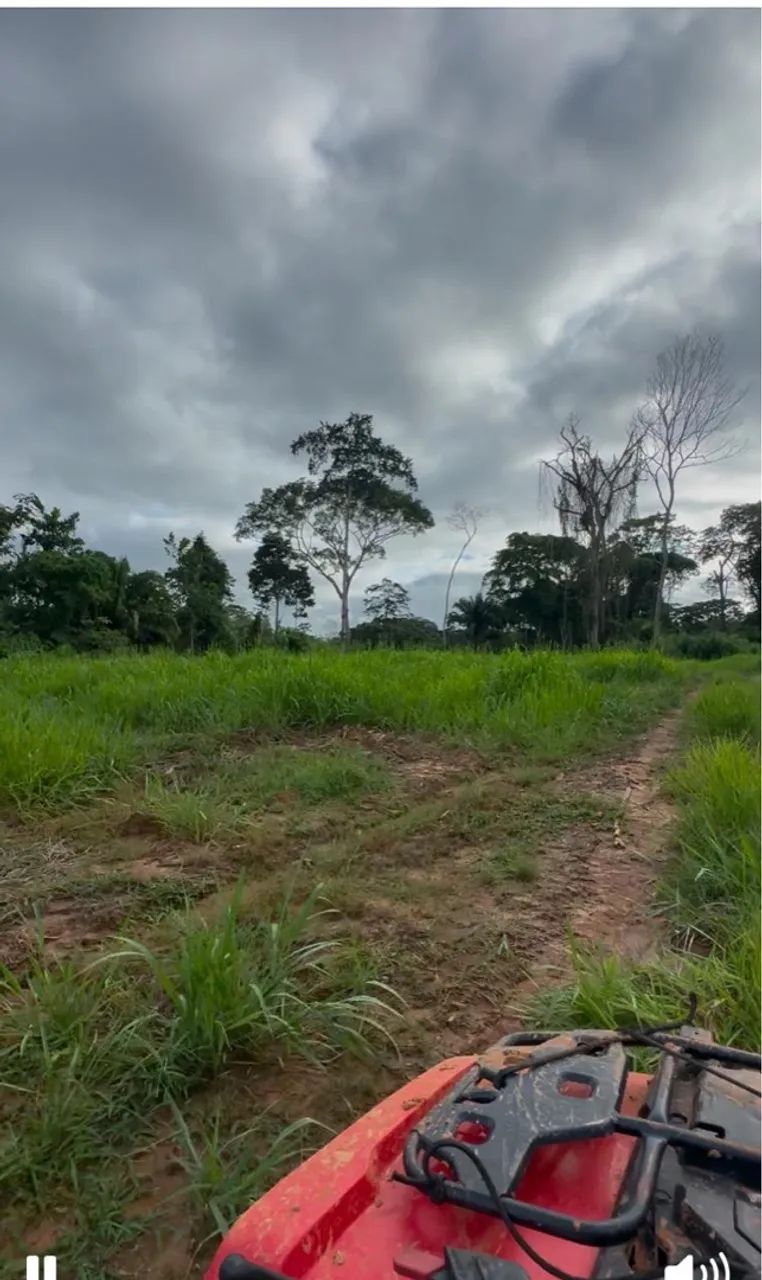 Vende-se esta propriedade  - Foto 5