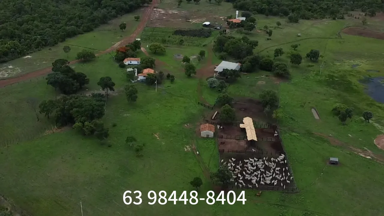 FAZENDA 740 HECTARES PRODUTIVA
